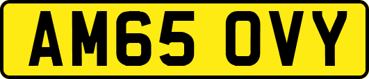 AM65OVY