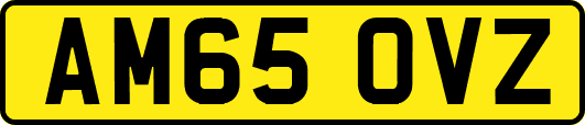 AM65OVZ