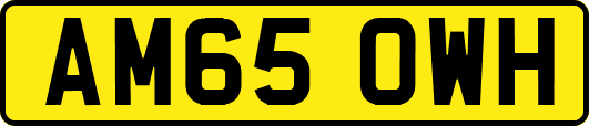AM65OWH