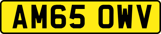AM65OWV