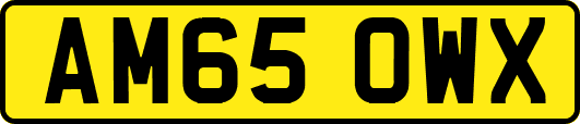AM65OWX