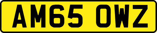AM65OWZ