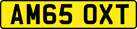 AM65OXT