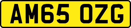 AM65OZG