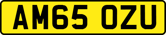 AM65OZU