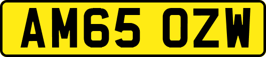 AM65OZW