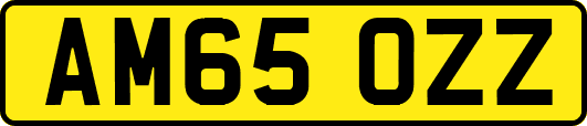 AM65OZZ