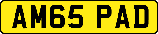 AM65PAD