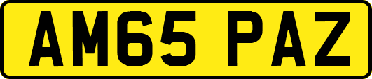 AM65PAZ