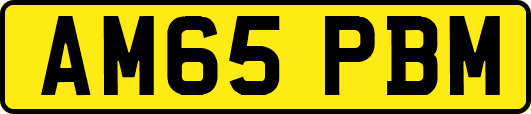 AM65PBM
