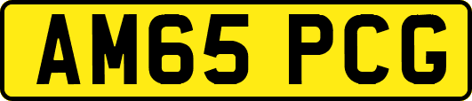 AM65PCG