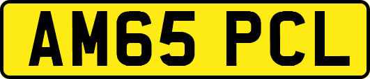 AM65PCL