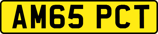AM65PCT