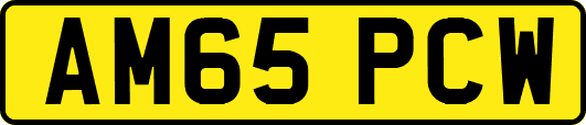 AM65PCW