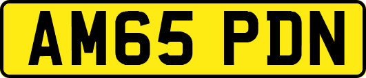 AM65PDN