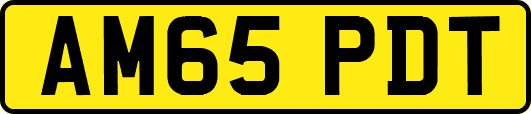 AM65PDT