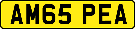 AM65PEA