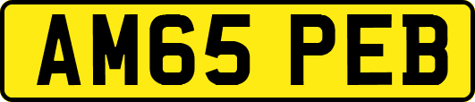 AM65PEB
