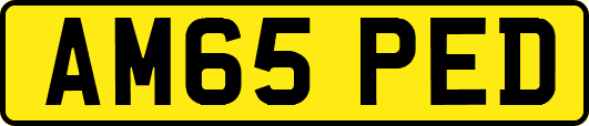 AM65PED
