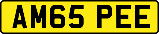 AM65PEE