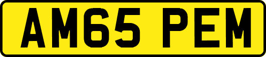 AM65PEM