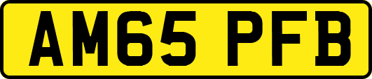 AM65PFB