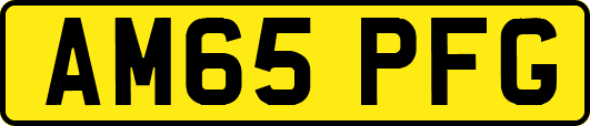 AM65PFG