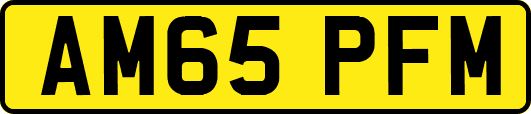 AM65PFM