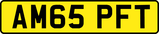 AM65PFT