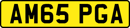 AM65PGA