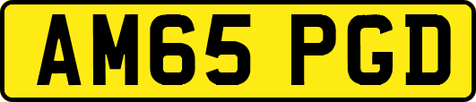 AM65PGD