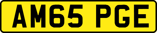 AM65PGE