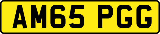AM65PGG