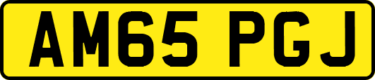 AM65PGJ