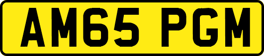 AM65PGM