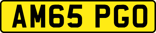 AM65PGO