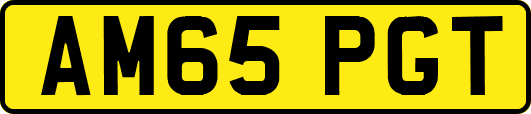 AM65PGT