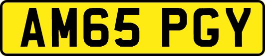 AM65PGY