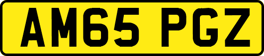 AM65PGZ