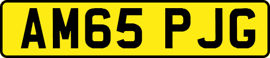 AM65PJG