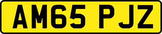 AM65PJZ