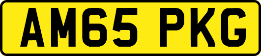 AM65PKG