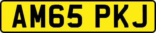 AM65PKJ