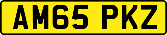 AM65PKZ