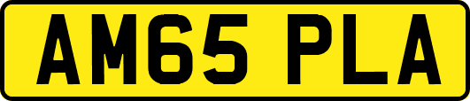 AM65PLA
