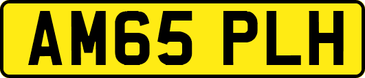 AM65PLH