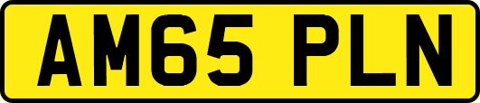 AM65PLN