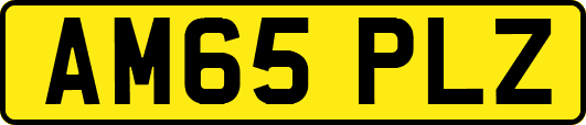 AM65PLZ
