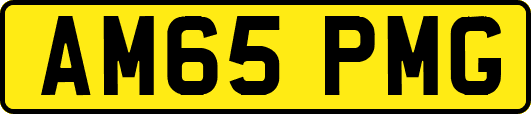 AM65PMG