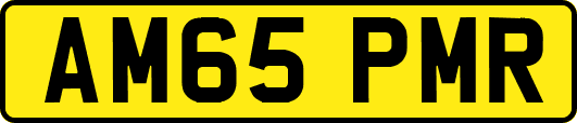 AM65PMR